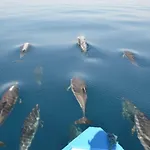 Vista Mare A Filicudi *